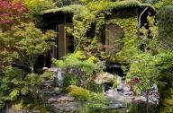 庭院植物主景如何設(shè)計？